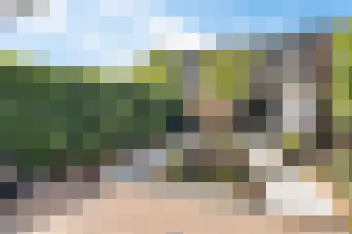 Agaat 40 Zoetermeer thumbnail 17