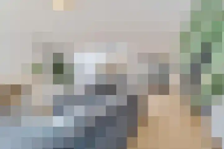 Agaat 40 Zoetermeer thumbnail 20