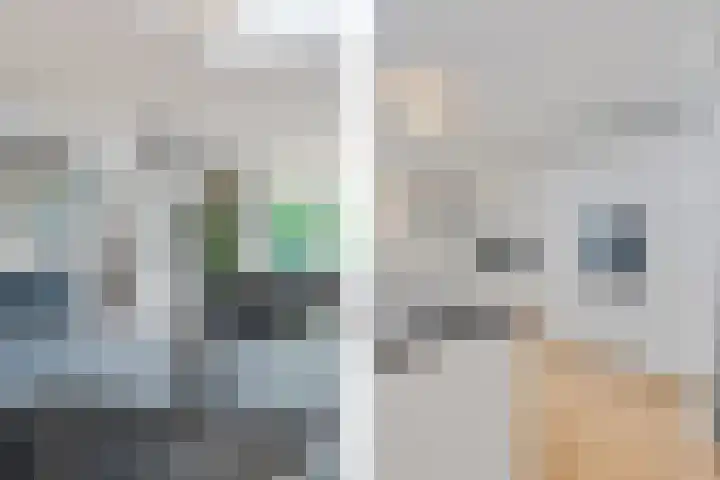 Agaat 40 Zoetermeer thumbnail 30