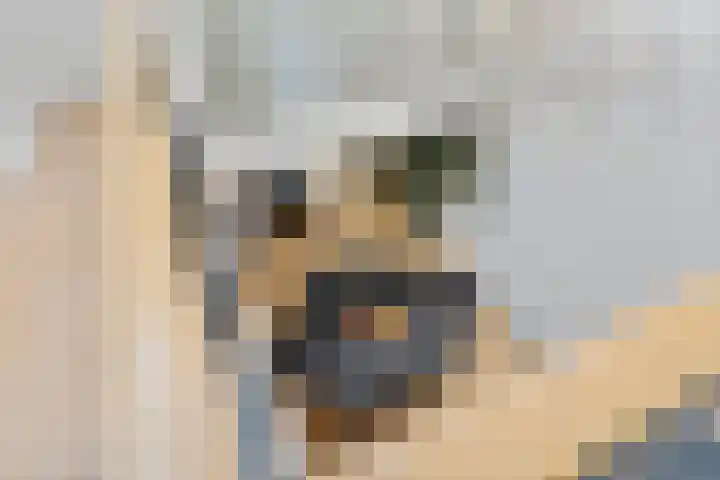 Agaat 40 Zoetermeer thumbnail 40