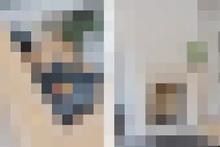Agaat 40 Zoetermeer thumbnail 41