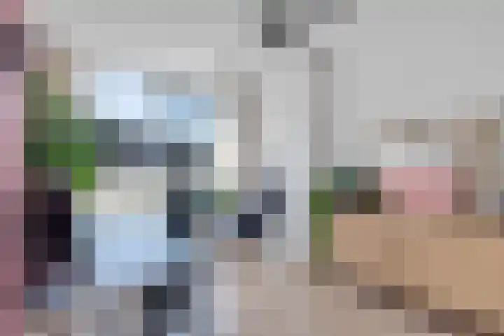 Agaat 40 Zoetermeer thumbnail 44