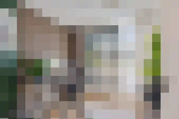 Agaat 40 Zoetermeer thumbnail 48