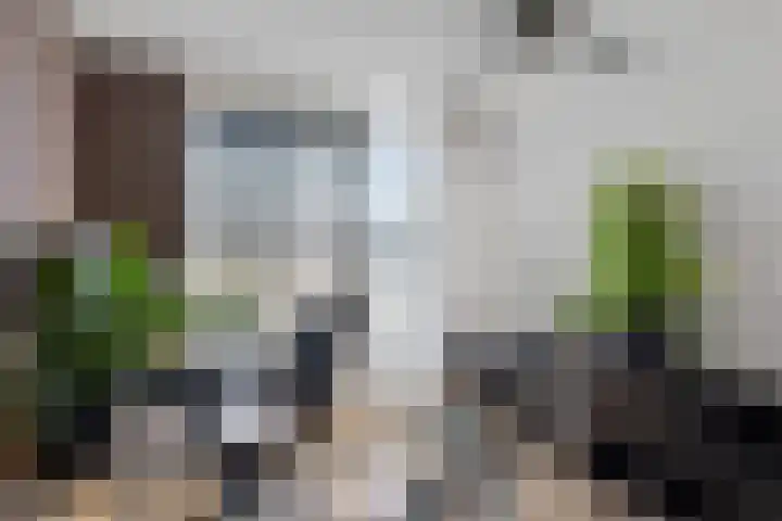 Agaat 40 Zoetermeer thumbnail 50