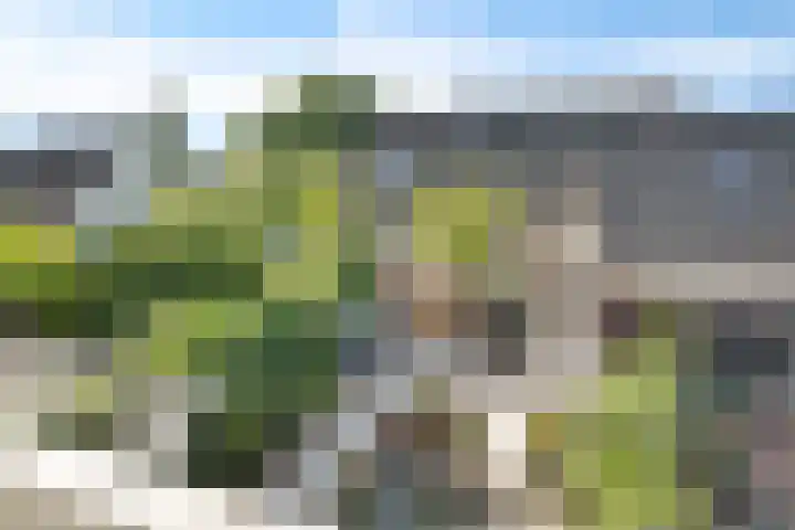 Agaat 40 Zoetermeer thumbnail 55