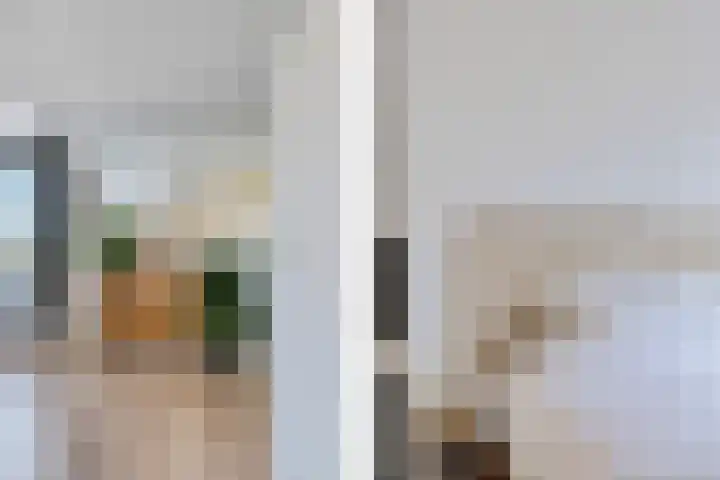 Agaat 40 Zoetermeer thumbnail 57