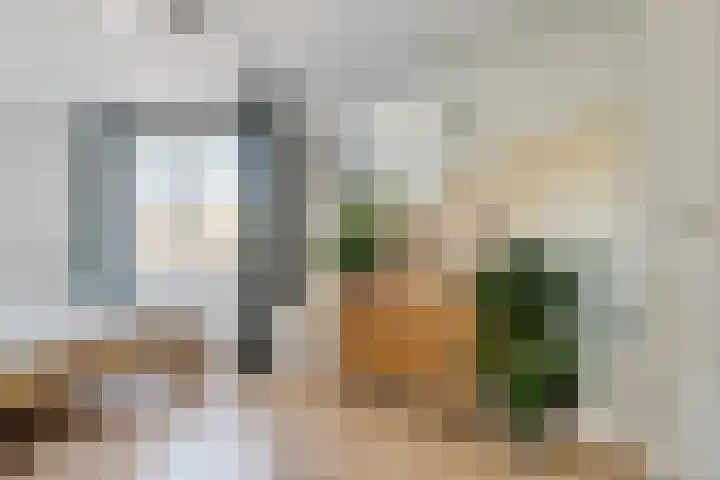 Agaat 40 Zoetermeer thumbnail 59
