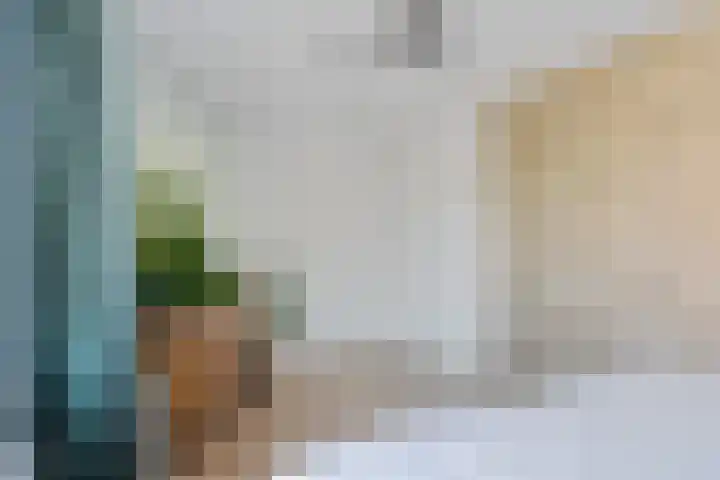 Agaat 40 Zoetermeer thumbnail 61