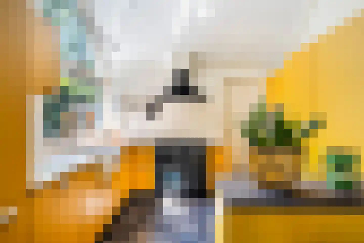 Agaat 44 Berkel en Rodenrijs thumbnail 16