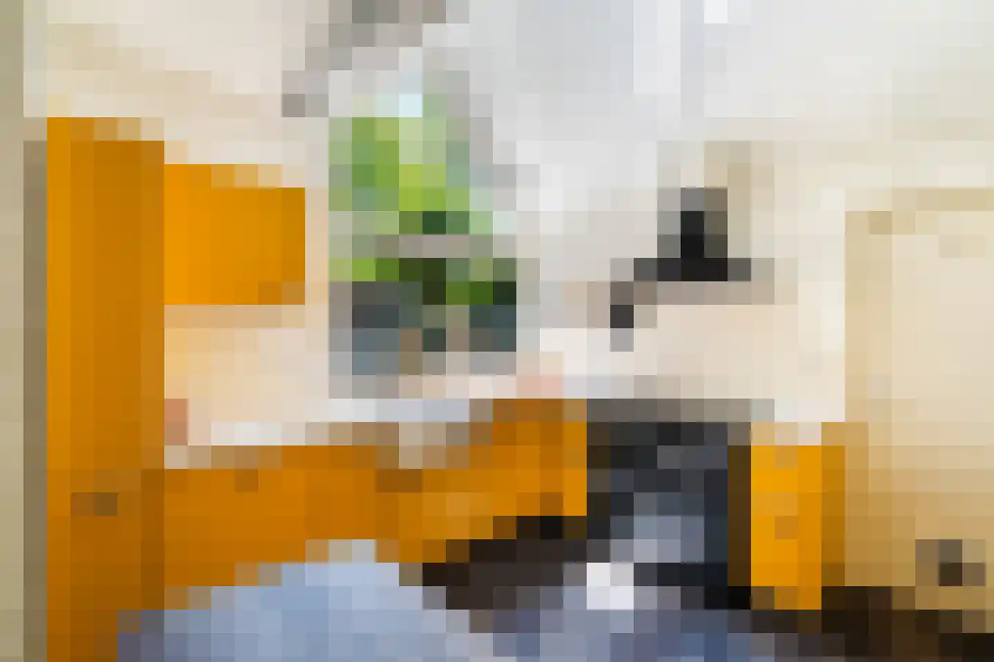 Agaat 44 Berkel en Rodenrijs thumbnail 17