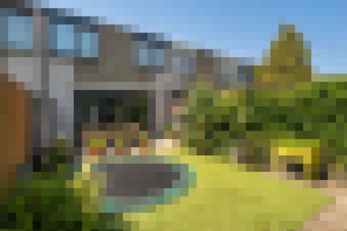 Agaat 44 Berkel en Rodenrijs thumbnail 18