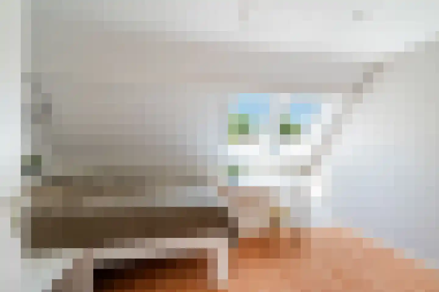 Agaat 44 Berkel en Rodenrijs thumbnail 27
