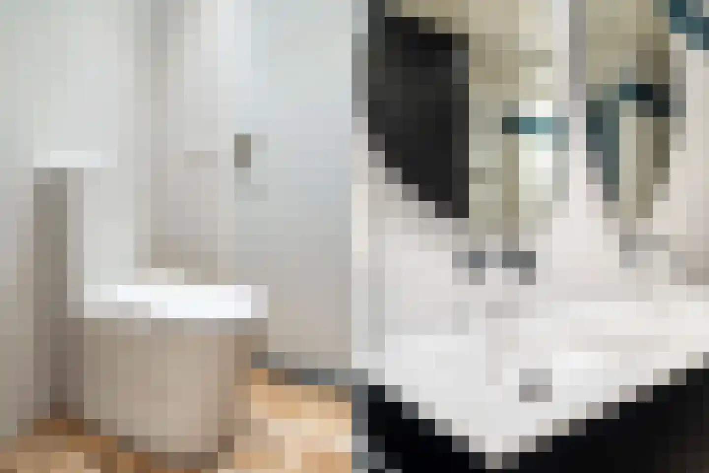 Agaat 44 Berkel en Rodenrijs thumbnail 32