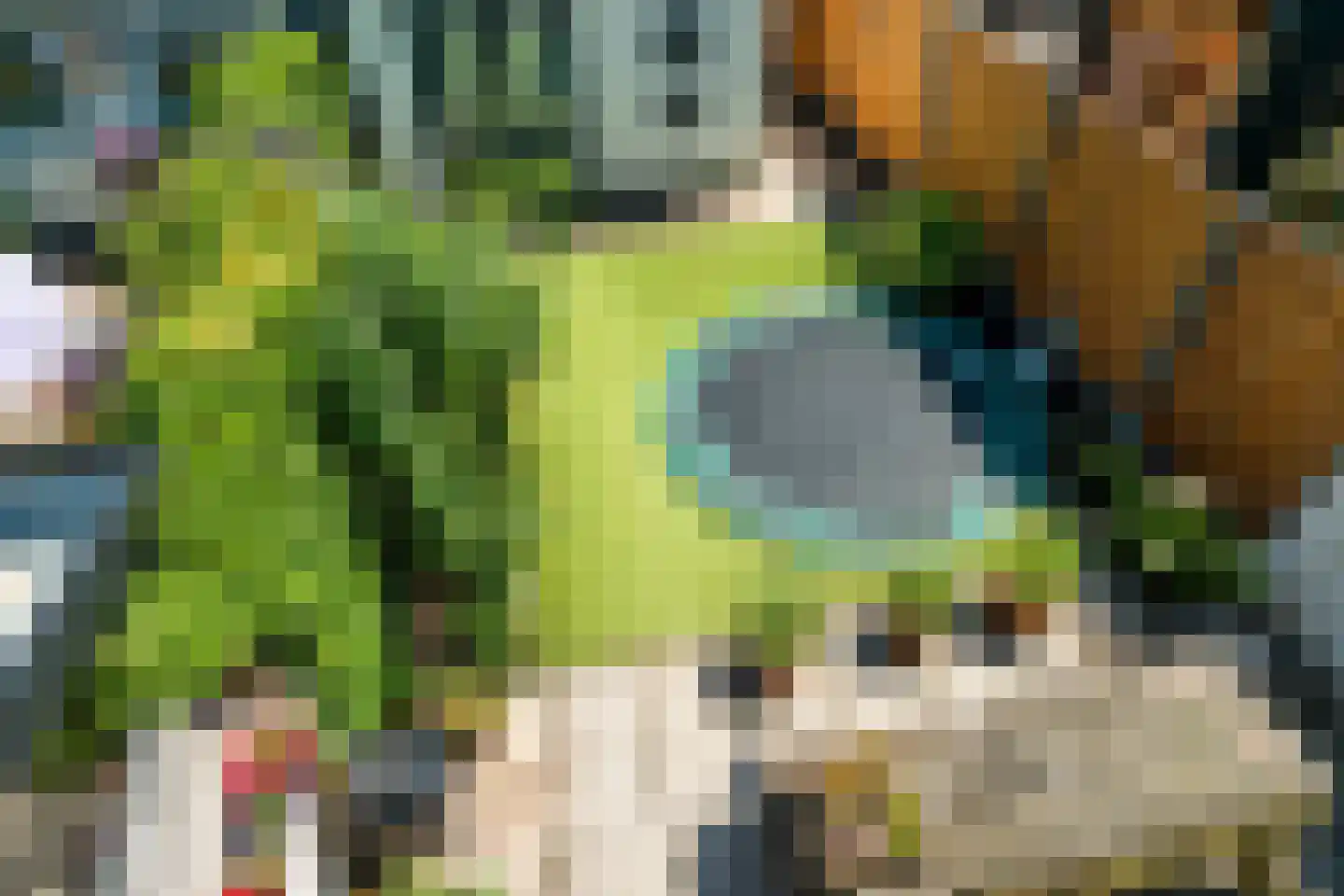 Agaat 44 Berkel en Rodenrijs thumbnail 4