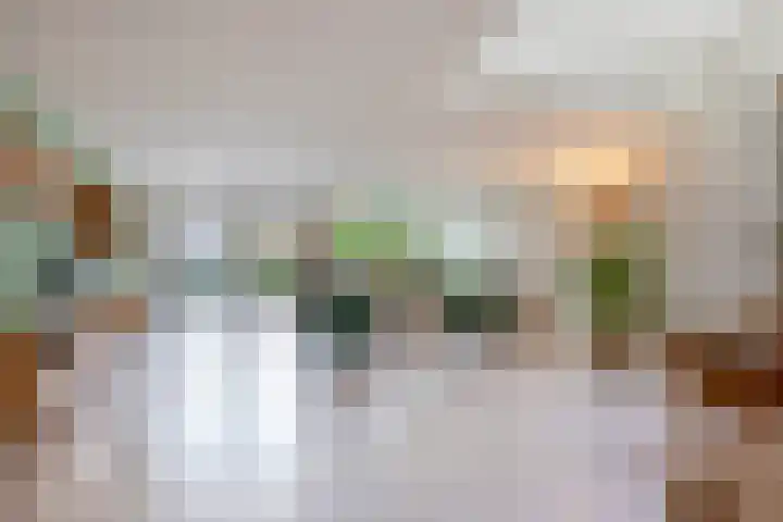 Agaat 48 Zoetermeer thumbnail 11