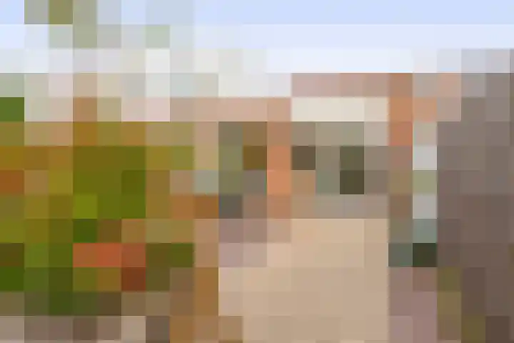 Agaat 48 Zoetermeer thumbnail 24