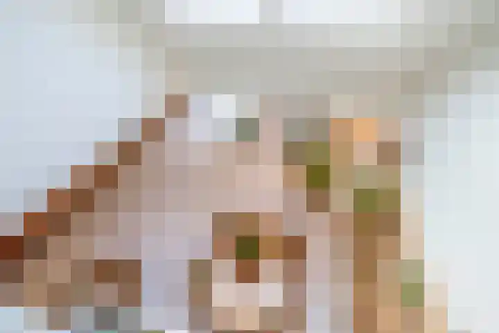 Agaat 48 Zoetermeer thumbnail 30