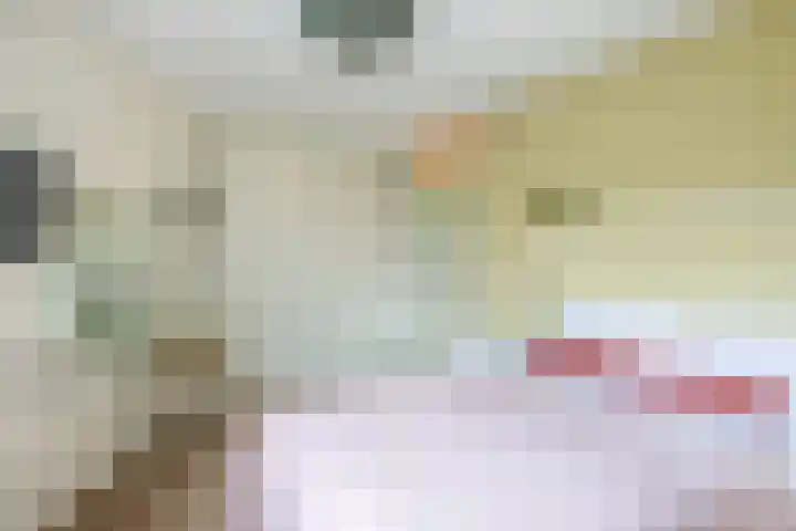 Agaat 48 Zoetermeer thumbnail 34