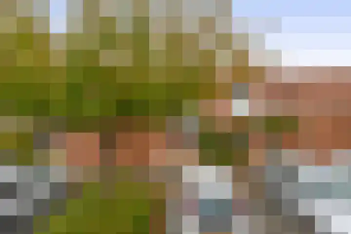 Agaat 48 Zoetermeer thumbnail 7