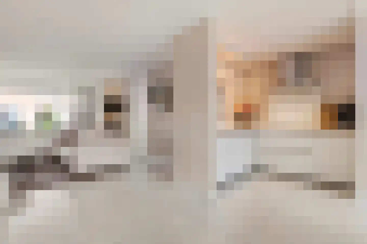 Agaat 6 Venlo thumbnail 10