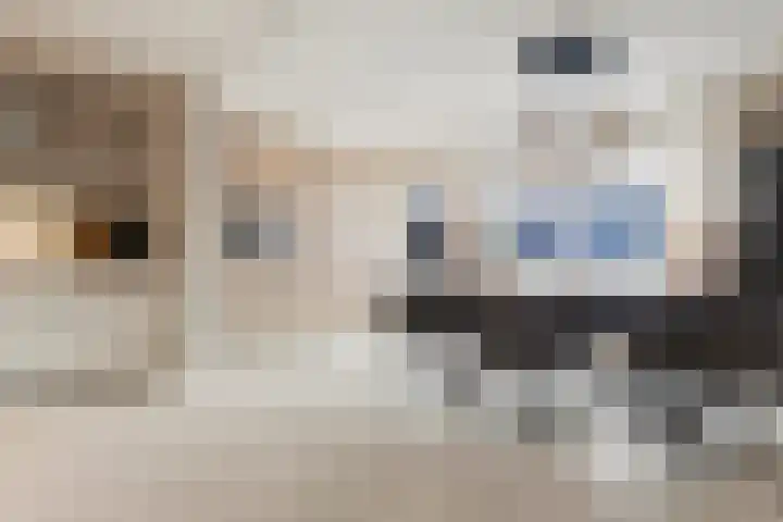 Agaat 6 Venlo thumbnail 12
