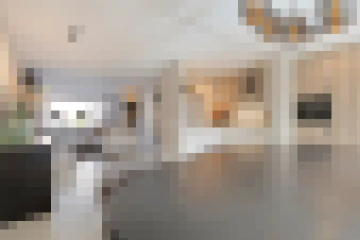 Agaat 6 Venlo thumbnail 13