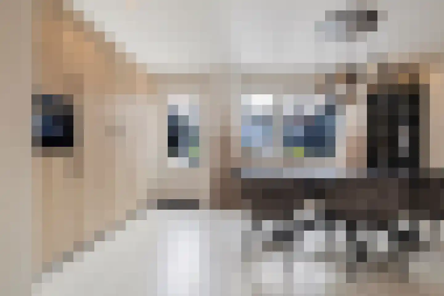 Agaat 6 Venlo thumbnail 16
