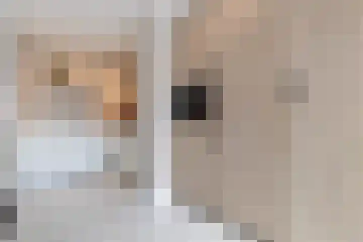 Agaat 6 Venlo thumbnail 21