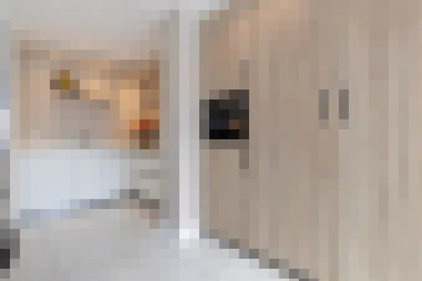 Agaat 6 Venlo thumbnail 21