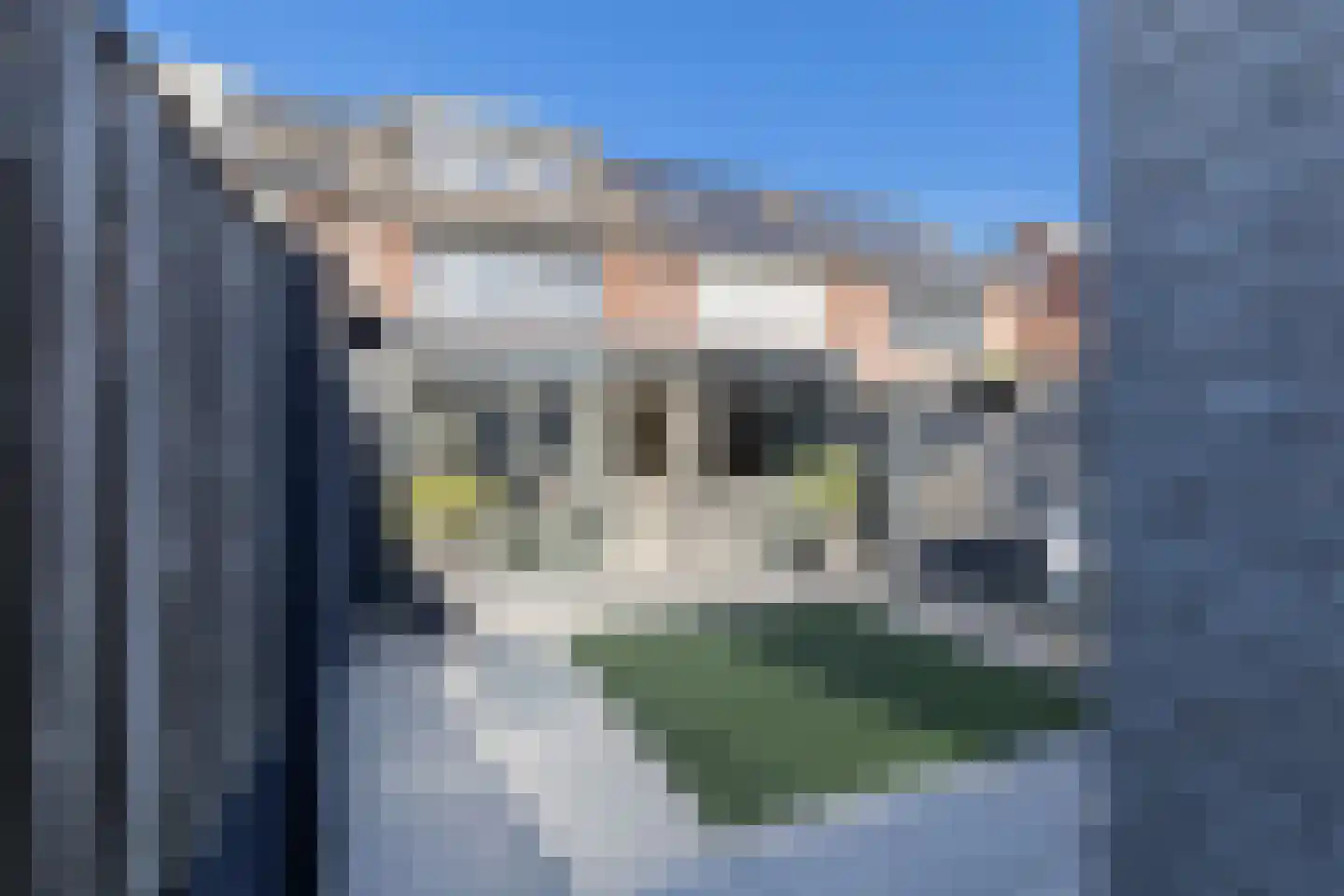 Agaat 6 Venlo thumbnail 43