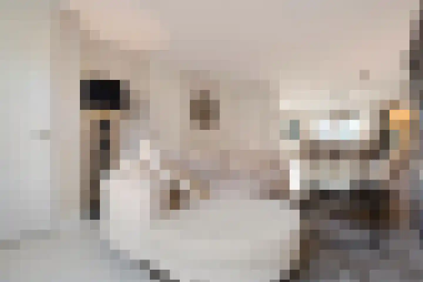 Agaat 6 Venlo thumbnail 5