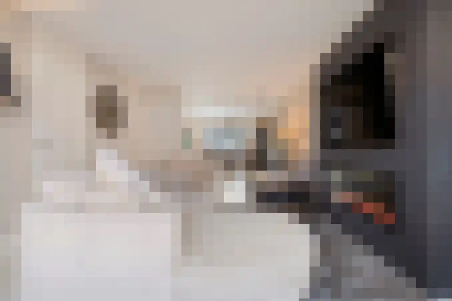 Agaat 6 Venlo thumbnail 6