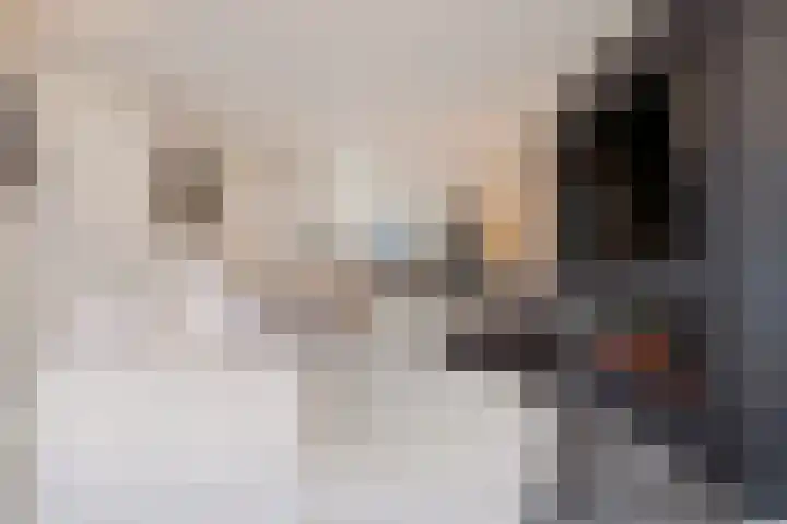 Agaat 6 Venlo thumbnail 6