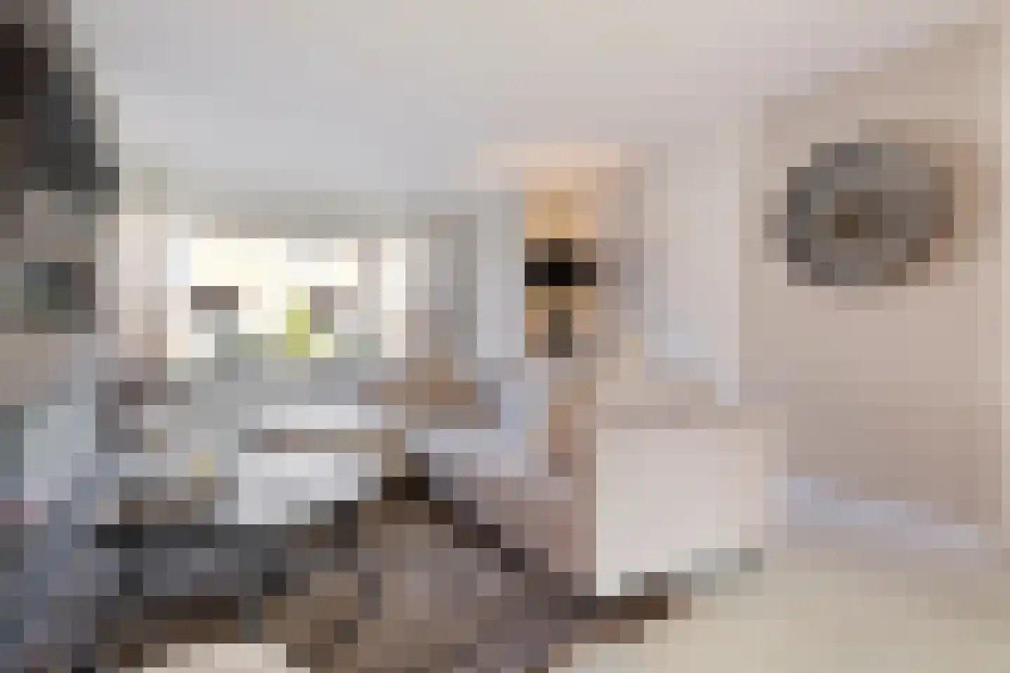 Agaat 6 Venlo thumbnail 7