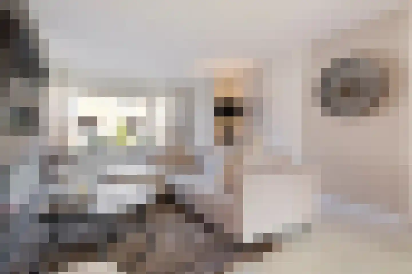 Agaat 6 Venlo thumbnail 7