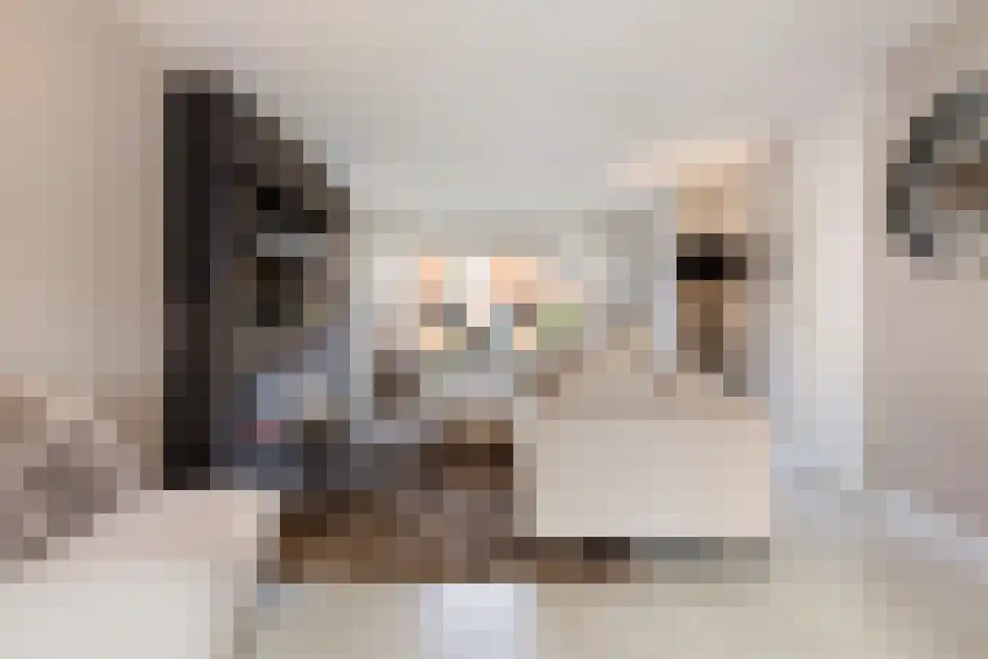 Agaat 6 Venlo thumbnail 8