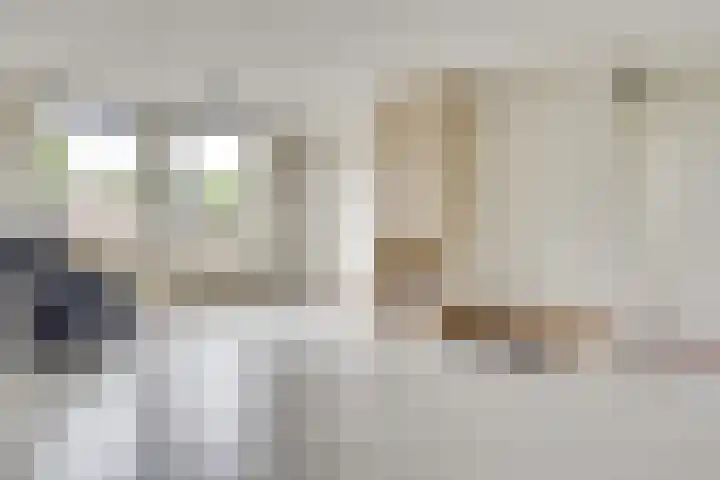 Agaat 71 Eindhoven thumbnail 12