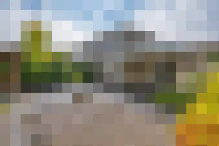 Agaat 71 Eindhoven thumbnail 4