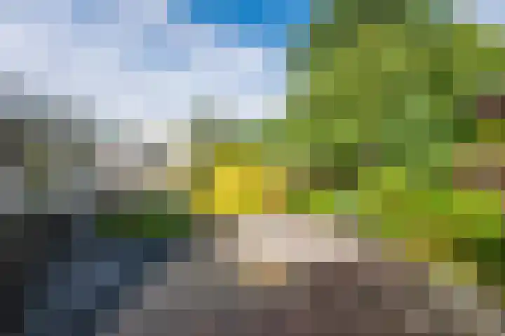 Agaat 71 Eindhoven thumbnail 41