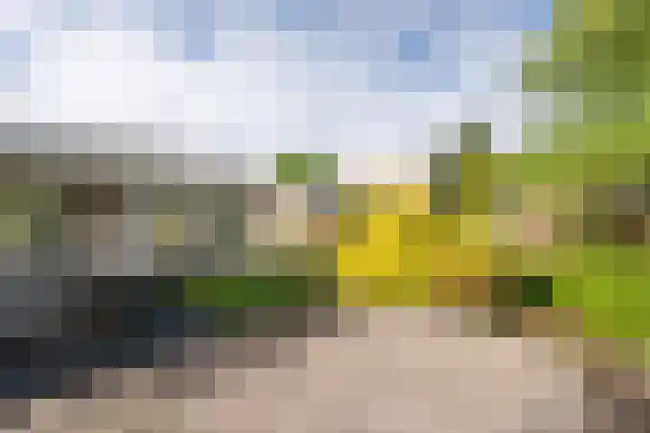 Agaat 71 Eindhoven thumbnail 42