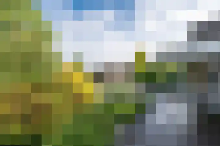 Agaat 71 Eindhoven thumbnail 44