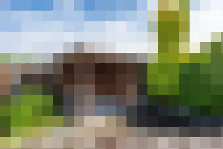 Agaat 71 Eindhoven thumbnail 45