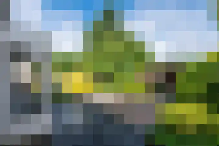 Agaat 71 Eindhoven thumbnail 46