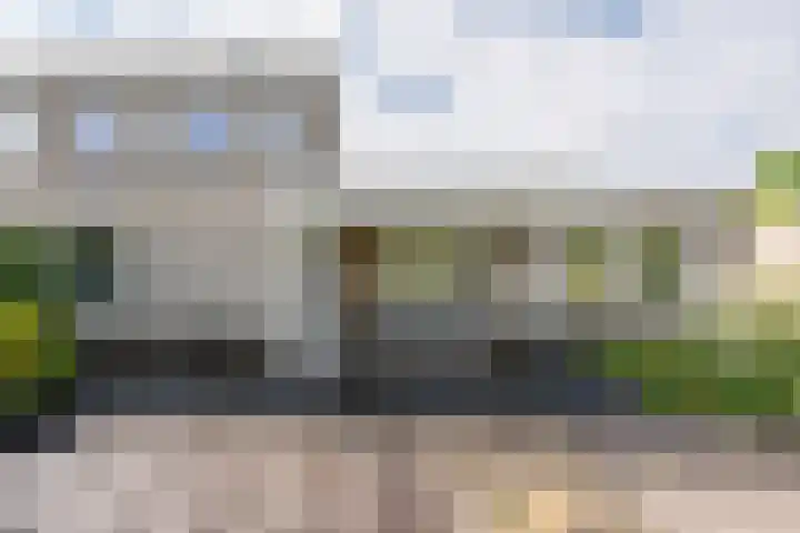 Agaat 71 Eindhoven thumbnail 53