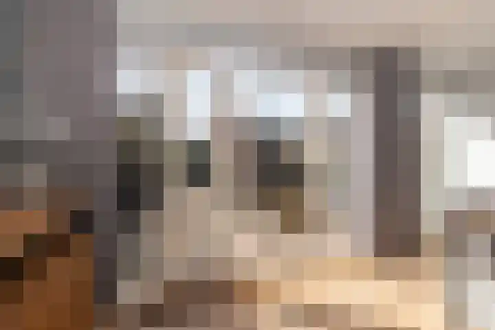 Agaat 77 Zoetermeer thumbnail 13