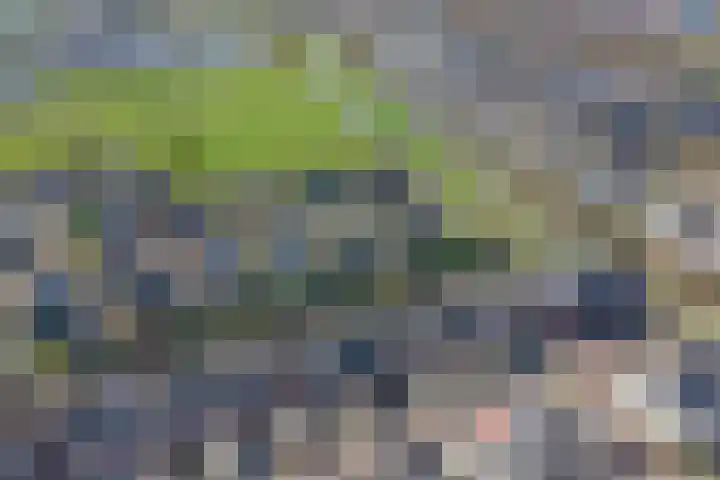Agaat 77 Zoetermeer thumbnail 48