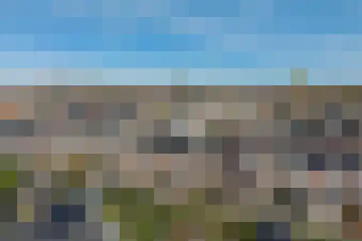 Agaat 77 Zoetermeer thumbnail 49