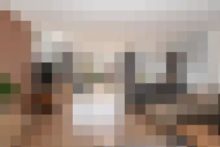 Agaat 77 Zoetermeer thumbnail 5