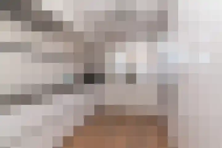 Agaat 77 Zoetermeer thumbnail 9
