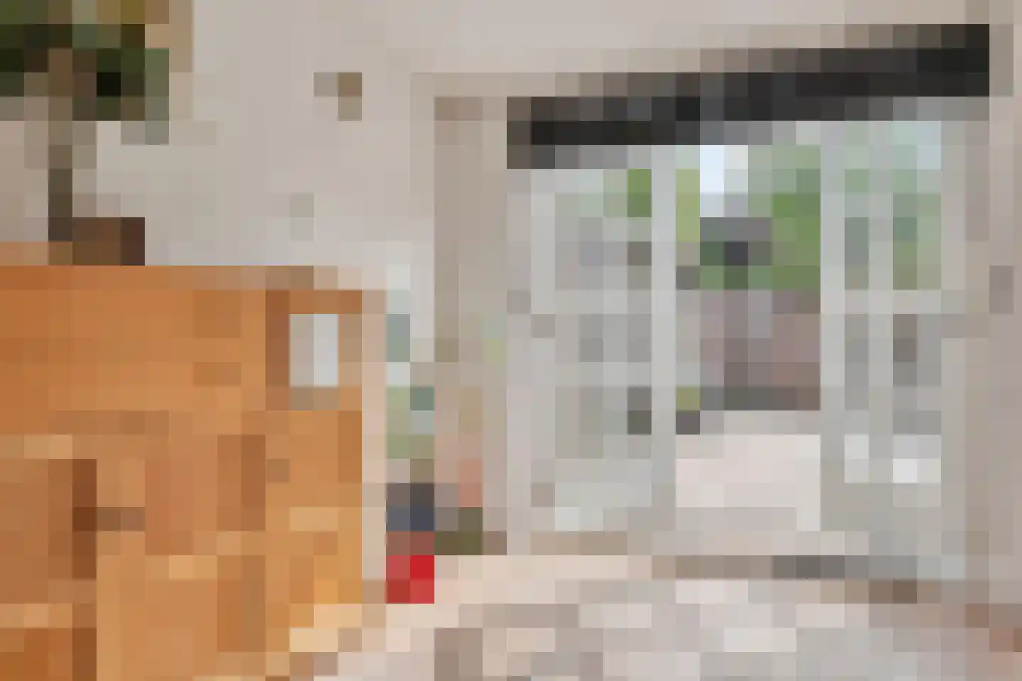 Agaatborch 12 Rosmalen thumbnail 12